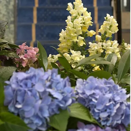 Ludwig Superior فندق كولونيا