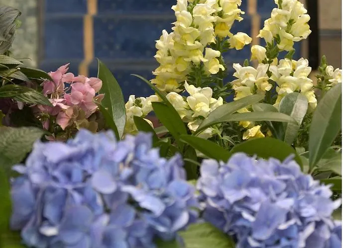 ルートヴィヒ スーペリア ホテル ケルン