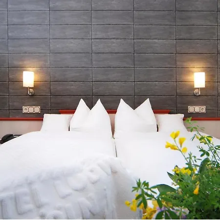 Ludwig Superior Otel 3*